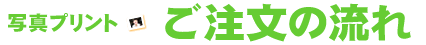 ʐ^vg̗